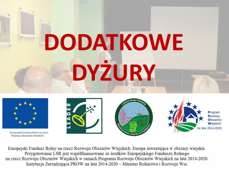 Dodatkowe dyżury